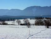 Wanderweg am See