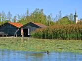 Naturgenuss am Staffelsee