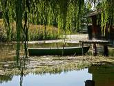 Idyllisches Ruderboot