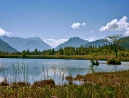 Obersee